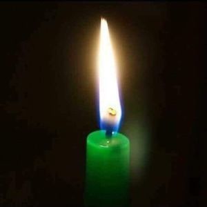 Meet your Posher, Brooklynn